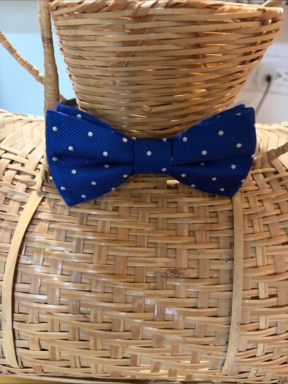 One Tommy Hilfiger Bow Tie